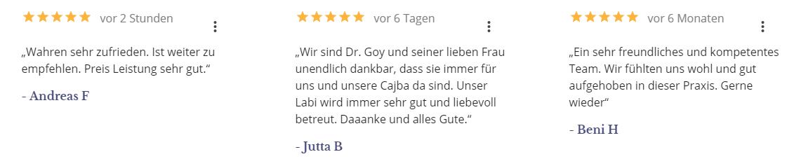 Notdienst DocGoy Gusborn Tierarzt Lüchow-Dannenberg