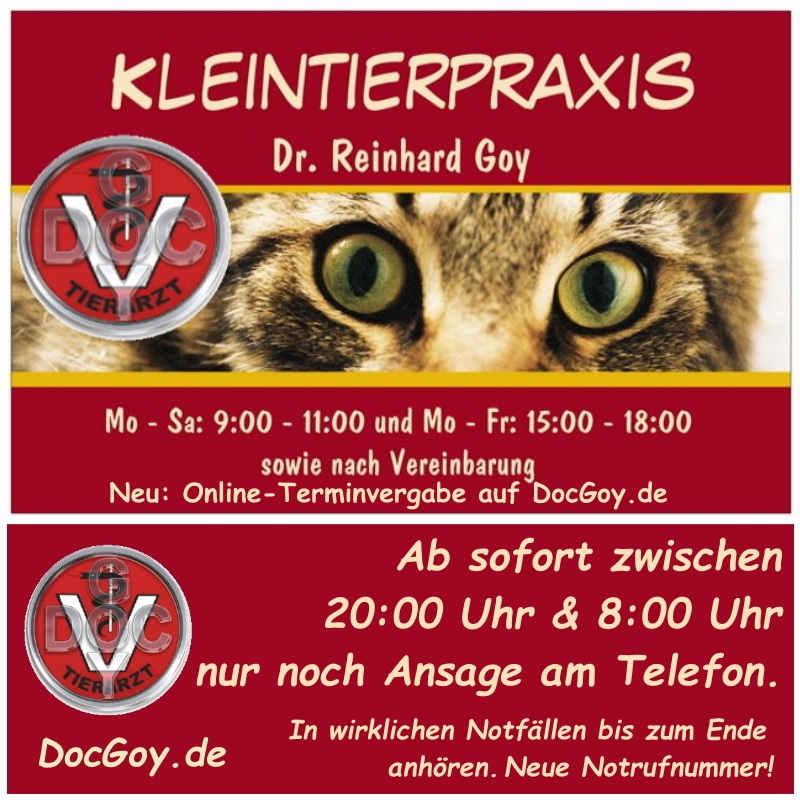 Kleintierpraxis Gusborn - Dr. Reinhard Goy