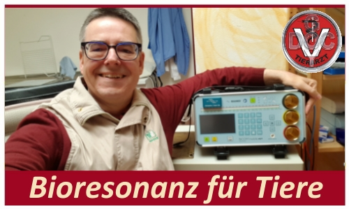 DocGoy - Dr. Reinhard Goy - Kleintierpraxis Gusborn Bioresonanz