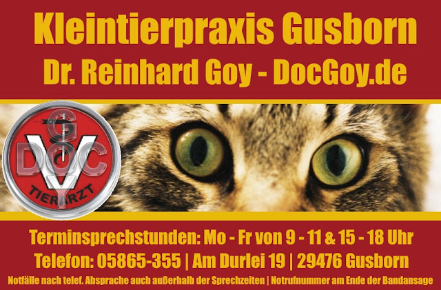 Notdienst DocGoy Gusborn Tierarzt Lüchow-Dannenberg