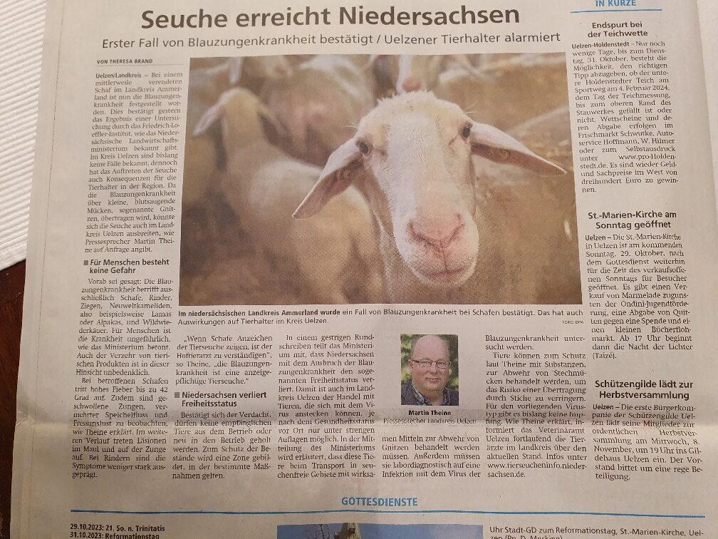 Presseartikel Blauzungenkrankheit Niedersachsen Schafe