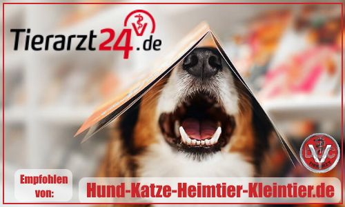 tierarzt24 Medikamente DocGoy