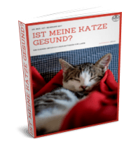 Ist meine Katze gesund?