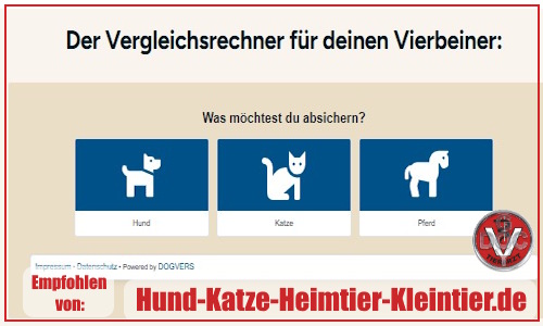 Versicherungsvergleich Versicherungsvergleich