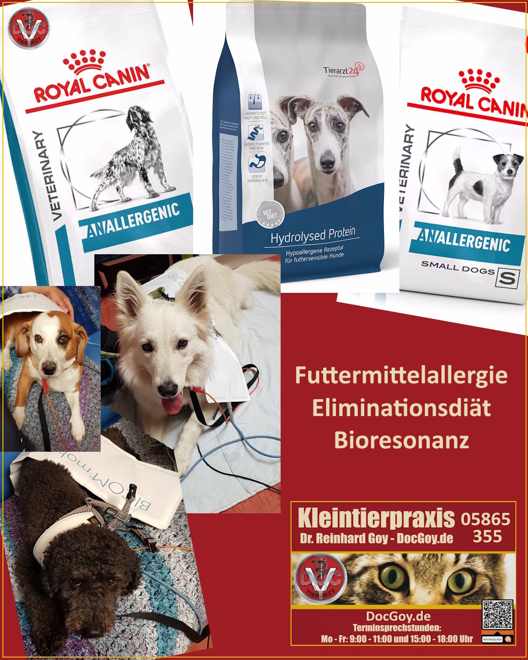 Wie geht Ausschlussdiät oder Eliminationsdiät?