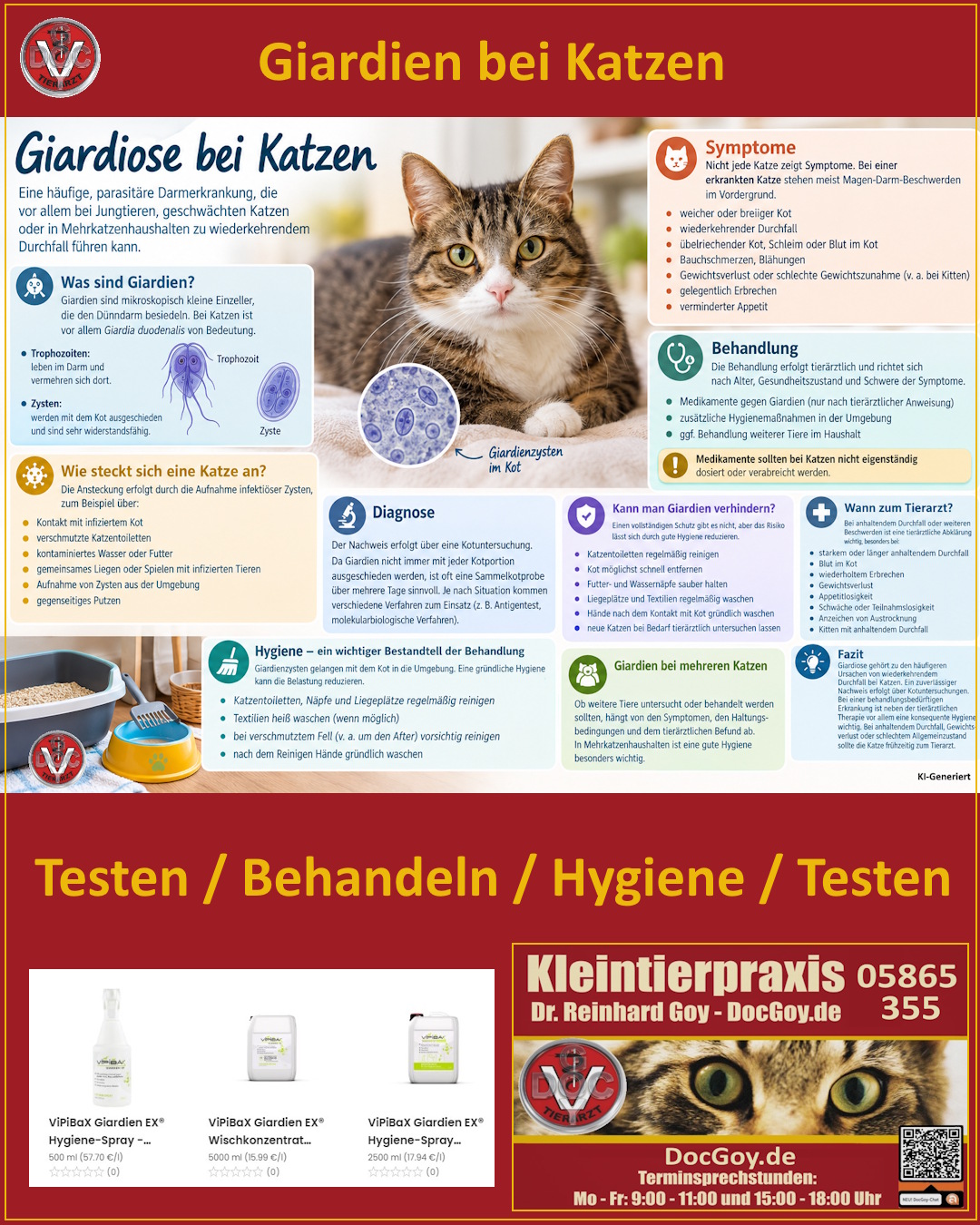 Giardiose / Giardien bei Katzen
