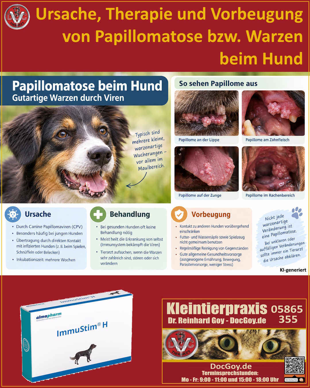 Papillomatose und Warzen beim Hund
