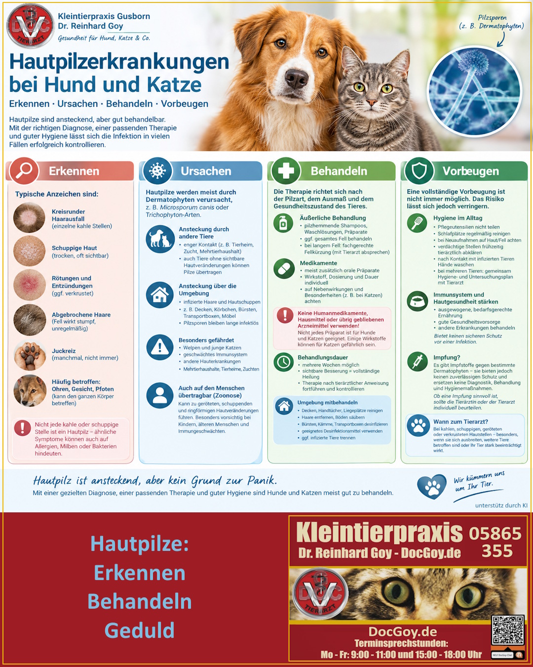 Hautpilzerkrankungen bei Hund und Katze: Erkennen, Ursachen, Behandlung und Vorbeugung