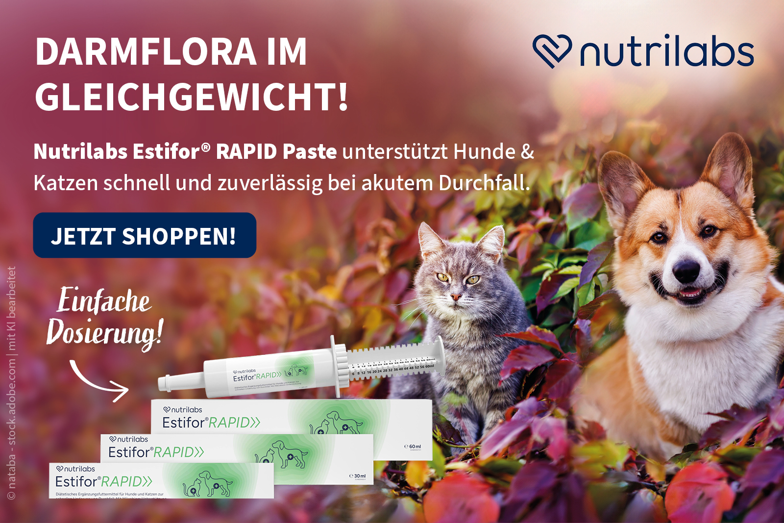 Tohuwabohu im Darm? Unser Tipp für Ihren Liebling!