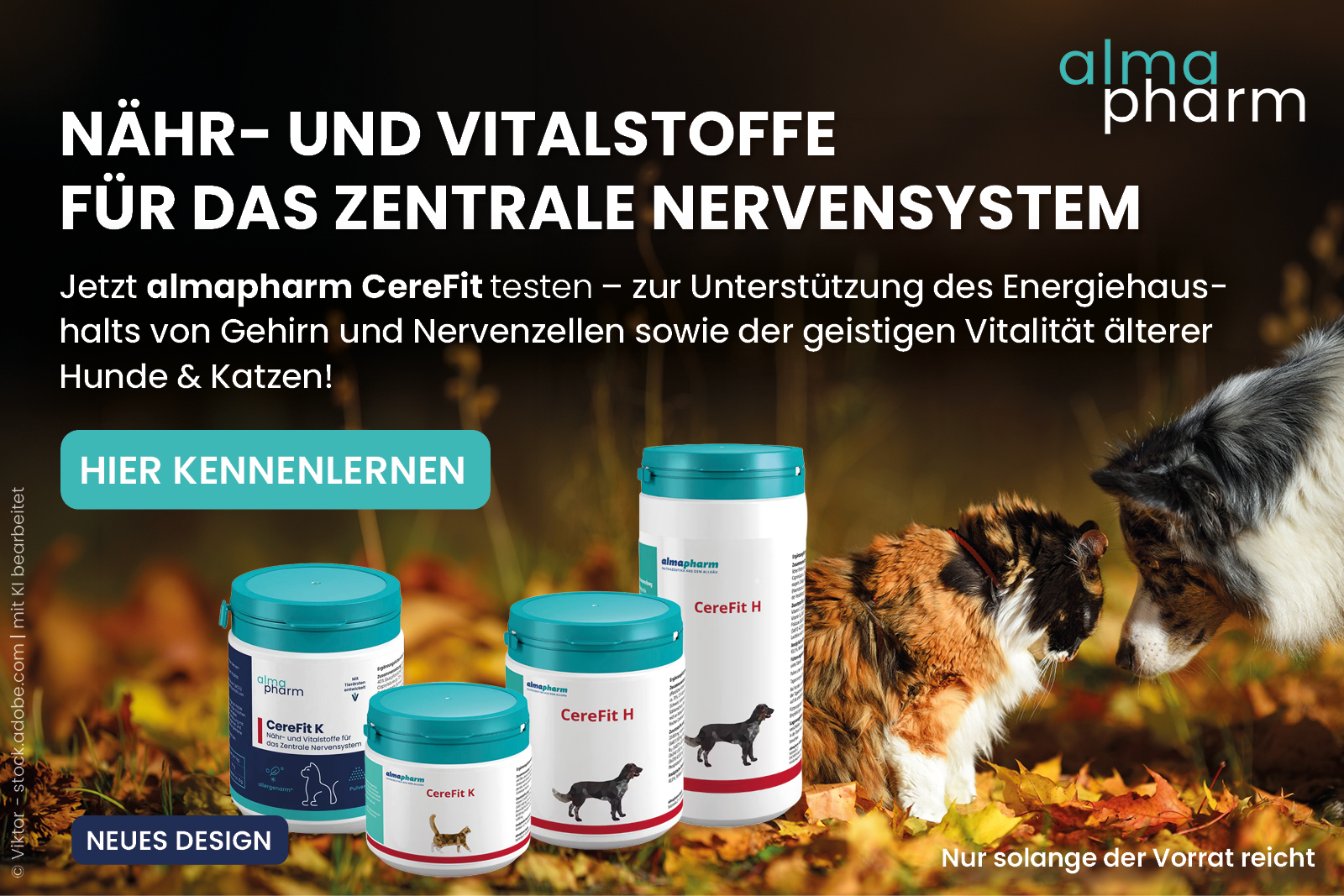 Jetzt die geistige Vitalität unterstützen!