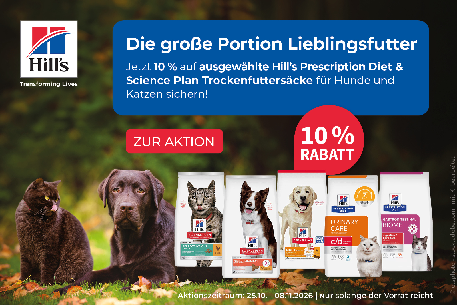 Ab sofort gibt's 10 % auf Hill´s Big Bags!